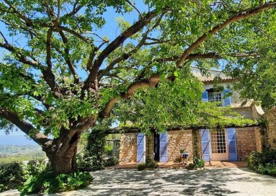 Ancienne maison en pierre avec volets bleus, grand arbre ombrageant, terrasse ensoleillée et paysage vallonné en arrière-plan sous un ciel clair.