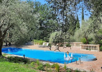Une piscine entourée de verdure avec fauteuils et une bouée en forme de cygne sur l'eau, créant une ambiance paisible et estivale.