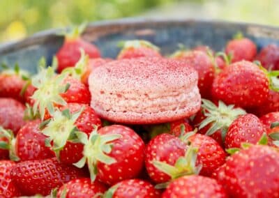 Un macaron rose est posé au centre d'un panier de fraises fraîches, capturant une scène gourmande et colorée en pleine nature.