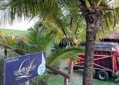 Behind a palm tree, the sign for Distillerie Longueteau in Guadeloupe is visible, with red farm equipment in the background.